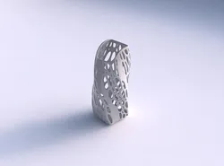Vase twisted arc quadratic with organic lattice with solid sides 3D print model