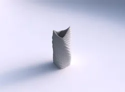 Vase twisted double arc quadratic with bent extruded lines 2 3D print model