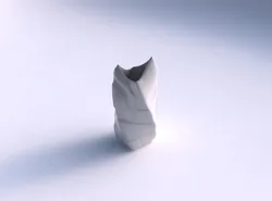 Vase twisted double arc quadratic with smooth ribbons 3D print model