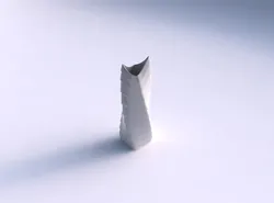Vase twisted double arc rectangle with horizontal inverted la... 3D print model