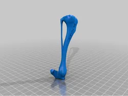 Dog tibia