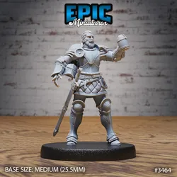 Knight Sir Tristan / Royal Male Warrior / Fighting Guard / Armored Fighter / Evil Castle Encounter
