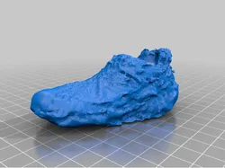 Photo Scan Of My Shoe