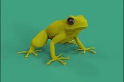 Renderin Frog