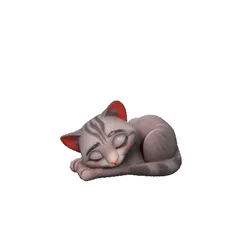 Cat Lying Down // Gato Acostado