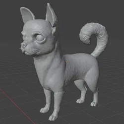 Chihuahua
