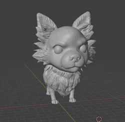 Fluffy Chihuahua