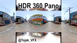 HDR 360 Panorama DTLA Graffiti Alley Cloudy 017 3D model