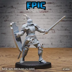 Knight Sir Tristan Attack / Royal Male Warrior / Fighting Guard / Armored Fighter / Evil Castle Encounter