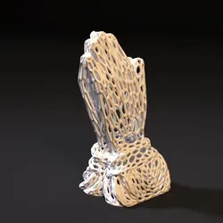 Praying Hands Voronoi