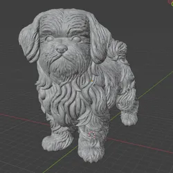 Realistic Shih Tzu
