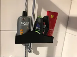 Shower Cage (Shampoo holder)