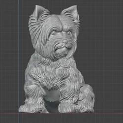 Yorkshire Terrier  (Yorkie)