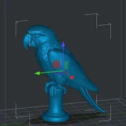 Macaw