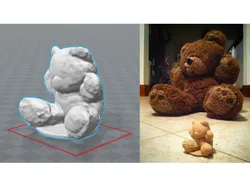 Teddy Scan