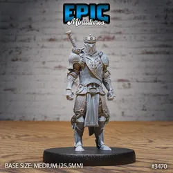 Tower Knight / Royal Male Warrior / Human Guard / Armored Fighter / Castle Encounter
