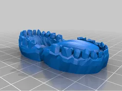 Teeth