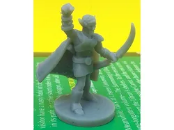 High Elf Druid