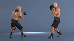 Male Boxer Figure Rigged for Cinema 4D 3D model