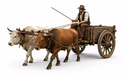 Ox Cart Driver Character 3D model
