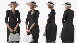 Vintage Fashion Woman with Bag Rigged for Cinema 4D 3D model