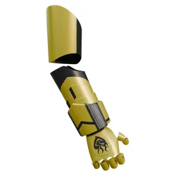 Yang Xiao Long Prosthetic Arm