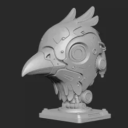 bird