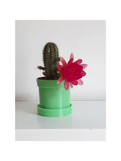 Mini cache-pot