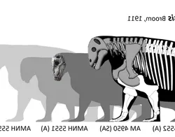 Moschops