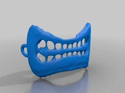 muzzle