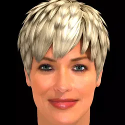 Sharon Stone Hair 3D model