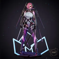 Project Code VOID Collector Package