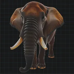 Realistic Elephant 3D Model – African Elephant