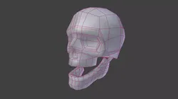Skull two skulls Low-poly 3D model