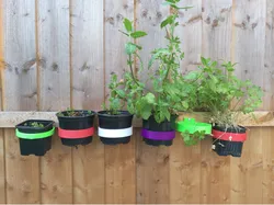 Small plant pot, herb holder