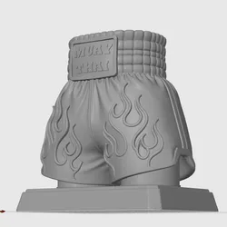 Muay thai Short