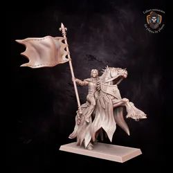 Battle standard bearer on horse