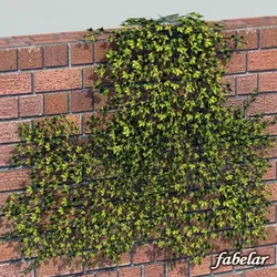 Ivy plant 3D model