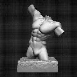 Male Torso 3D Model
