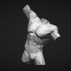 Male Torso Low Poly