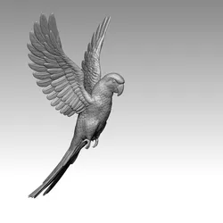 parrot