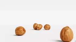 Hazelnut 3D model