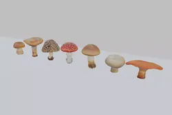 Mushroom Pack 3D model