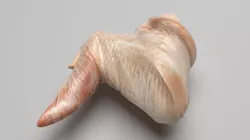 Chicken Wing 3D model