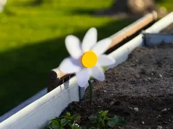 Daisy Wind Chime - Free 3D Print Model