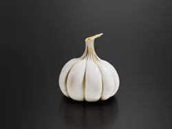 Garlic-03 3D print model
