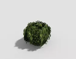 low poly tropical shrub 2 Low-poly 3D model