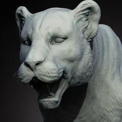Panther – The Ghost in the Shadows