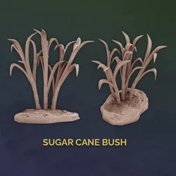 Sugar Cane Bush