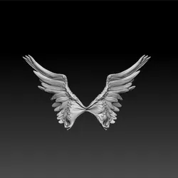 Wings